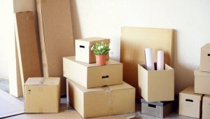 Packing Service In Pune