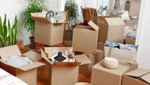 Packers and Movers Alandi Road