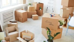 Packers and Movers Alandi