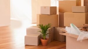 Packers and Movers Baner Pashan Link Road