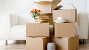 Packers and Movers Chakan