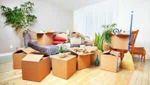 Packers and Movers Charholi Budruk