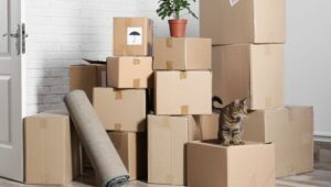 Packers and Movers Hinjewadi