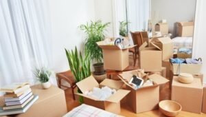 Packers and Movers Moshi