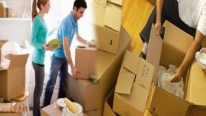 Packers and Movers Nasrapur