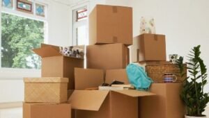 Packers and Movers Spine Road