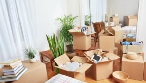 Packers and Movers Swargate