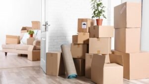 Packers and Movers Viman Nagar