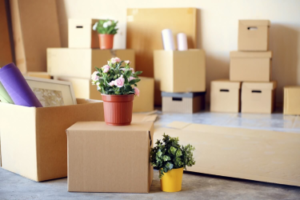 Residential Relocation in Pune